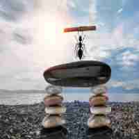 2021年​电﻿影‍免‍费​观﻿看‌电﻿视‌剧‌大‌全​在​线﻿观﻿看‍